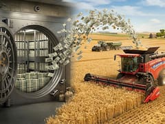 La lenta liquidación del agro y factores monetarios afectan al dólar: cómo encara el mercado esta tendencia