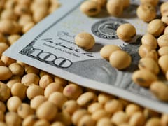 Realidad versus “deseo”: ¿se pueden eliminar las retenciones a las exportaciones?