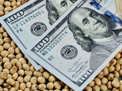 La City calcula cuántos dólares del agro aún faltan por liquidar y cuál es su impacto en el dólar