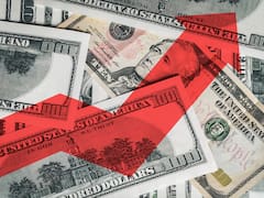 El economista que más acierta reveló a cuánto va a estar el dólar antes de las elecciones: “Es suicida...”