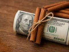 Guardar un billete de dólar con canela: para qué sirve y por qué muchas personas lo recomiendan