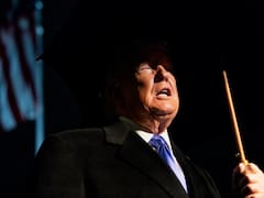 ¿Surge un cisne negro en el 2026? Paren el mundo que me quiero bajar