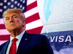 Sin visa americana ni pasaporte | Habilitaron el ingreso inmediato a Estados Unidos para todos estos extranjeros