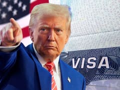 Ni visa, ni pasaporte, ni Green Card: Estados Unidos permitirá ingresar legalmente a cada uno de los extranjeros que aprueben esta prueba