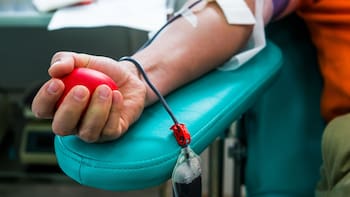 Cambian las reglas para los Testigos de Jehová: a partir de ahora podrán recibir transfusiones de sangre si así lo deciden