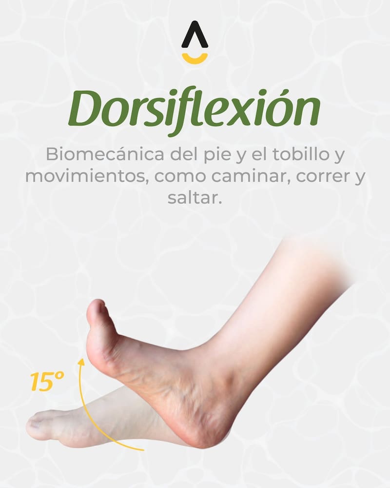 Dorsiflexión