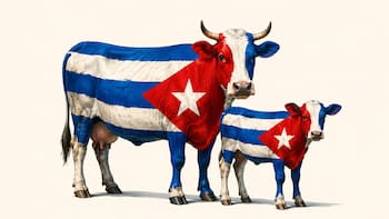 Cuba y el regreso al capitalismo, explicado con dos vacas: la metáfora que mejor explica el nuevo experimento cubano