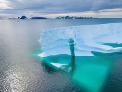 ¿España quiere liderar la Antártida? Ya está entre las 10 potencias mundiales en busqueda de los secretos científicos del polo sur