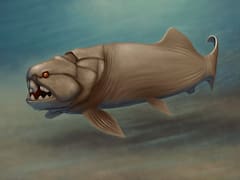 Descubren que este monstruo marino es real y fue el más grande del mundo: no tenía dientes, partía sus presas en dos y vivía en Euramérica