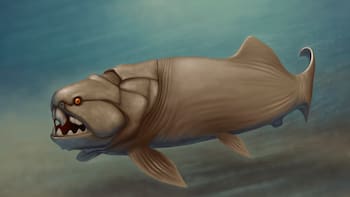 Descubren que este monstruo marino es real y fue el más grande del mundo: no tenía dientes, partía sus presas en dos y vivía en Euramérica