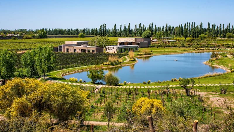 La bodega durigutti se erigió como una de las más destacadas