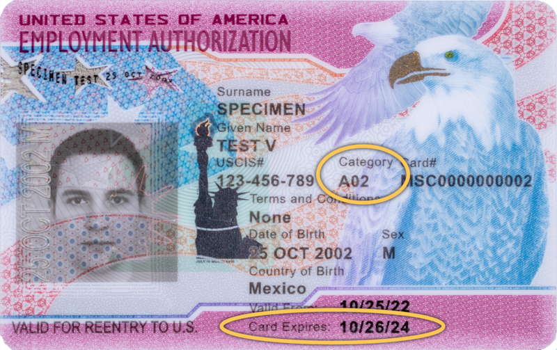 Para que los extranjeros que se encuentran en Estados Unidos puedan trabajar USCIS establece distintas categorías que puedan solicitar un EAD a través del Formulario I-765.