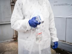 Alertan por brote de Ébola en España: cómo se contagia el virus y cuáles son los síntomas