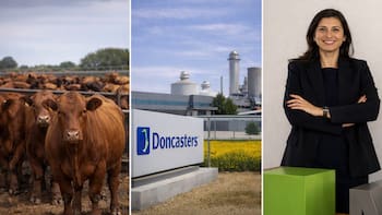 Dilemas de la res mexicana en EEUU, expansión aeroespacial en Mexicali y nuevo liderazgo en Microsoft México