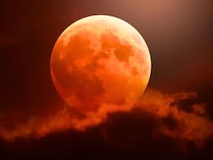 Eclipse total en marzo 2026: a qué hora será y dónde se podrá ver la Luna de Sangre, el evento astronómico del año