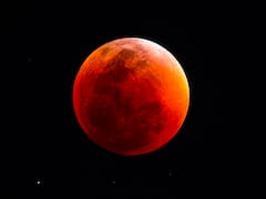 Llega el eclipse lunar del siglo en agosto: la noche será más oscura que nunca y todos podrán observar el manto negro desde sus casas