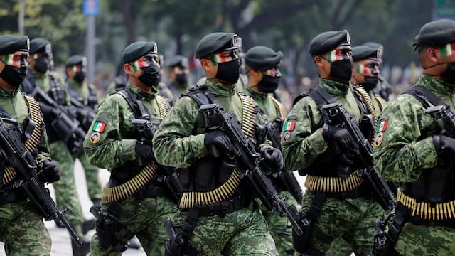 El Ejército se unirá con Guatemala para dar lucha conjunta contra los capos del narcotráfico: será por el crimen organizado de los Carteles De México