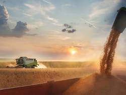 Logística, genética y eficiencia: las claves del “nuevo” agro para convertirse en abastecedor mundial de alimentos