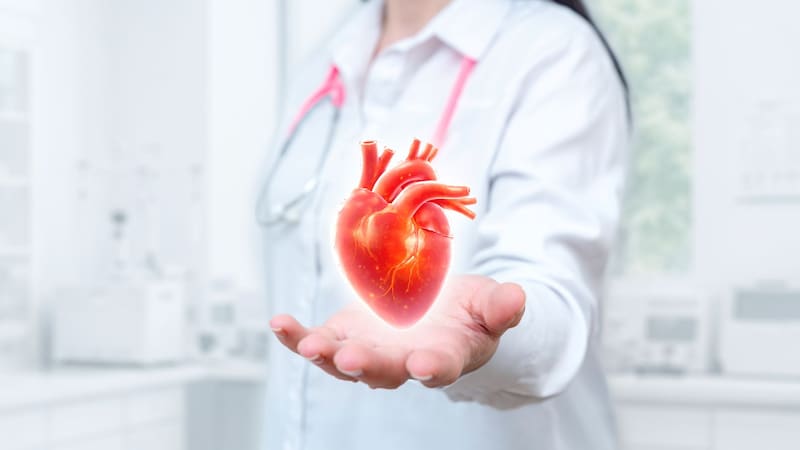 El alimento súperpoderoso que ayuda a bajar la hipertensión y el colesterol: es fácil de hacer
Fuente: Shutterstock