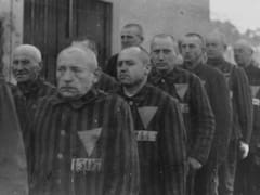 El archivo que permaneció oculto durante décadas: los documentos con cartas de víctimas del nazismo que nunca fueron entregadas