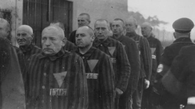 El archivo que permaneció oculto durante décadas: los documentos con cartas de víctimas del nazismo que nunca fueron entregadas