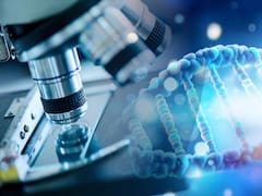 Histórico: científicos hallan el “santo grial” de la medicina y logran eliminar tumores de páncreas con una combinación de fármacos