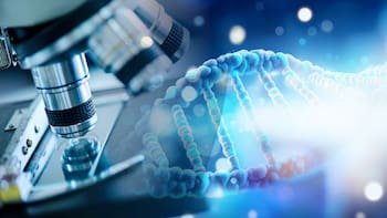 Histórico: científicos hallan el “santo grial” de la medicina y logran eliminar tumores de páncreas con una combinación de fármacos