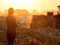 El Banco Nación consolida su liderazgo en el financiamiento al agro, con una cartera agropecuaria de $4,5 billones y crecimiento récord