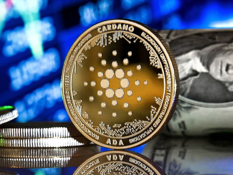 Builder Fest será clave para el ecosistema de desarrolladores de Cardano.