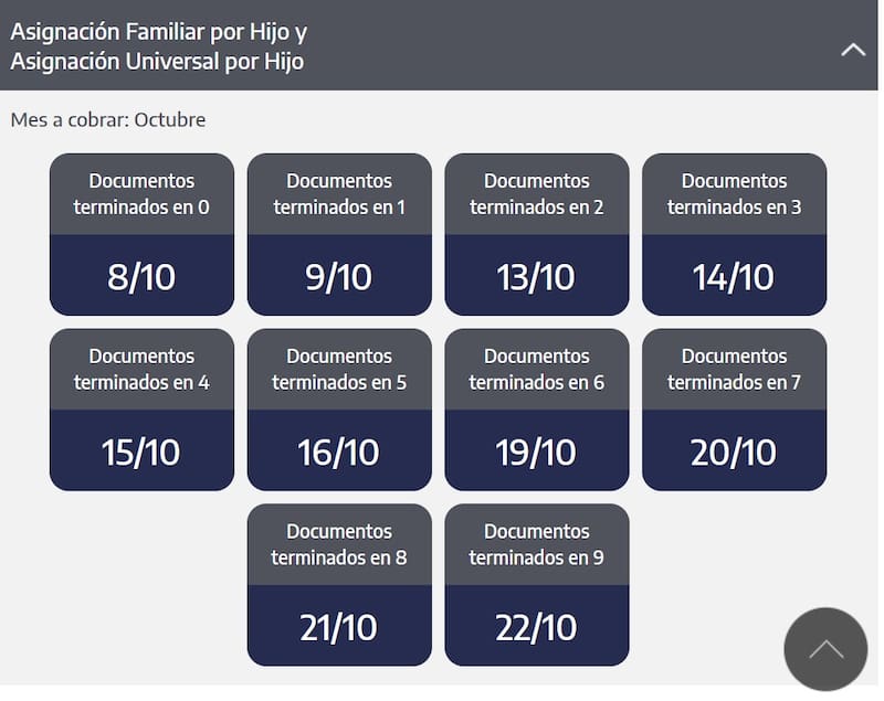 El calendario completo de depósitos de AUH y AFH en octubre. (Foto: ANSES)