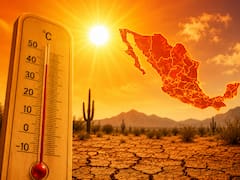 Se avecina la ola de calor del siglo: vuelven los valores récord, aire seco y temperaturas de hasta 45°C