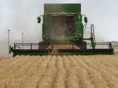 El campo avala la baja de retenciones, pero pide más: “Los costos de producción son muy altos”
