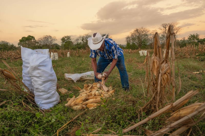 El padrón de Producción para el Bienestar
