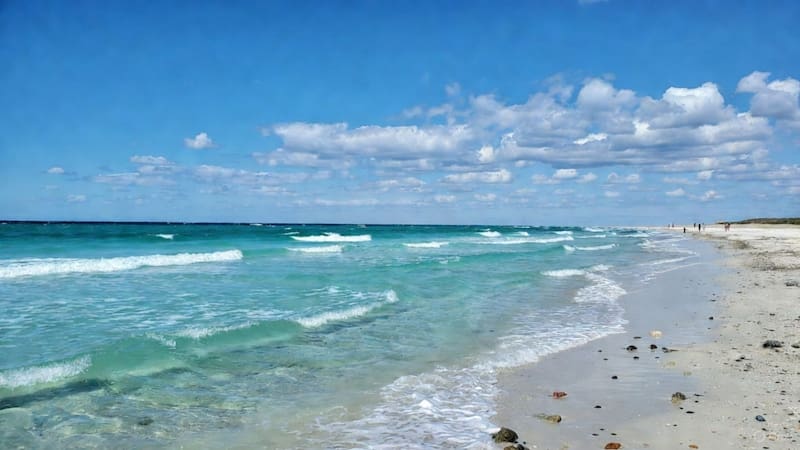 ¿El Caribe en Argentina? El destino más famoso de la costa Atlántica promete un verano único por una razón científica
Fuente: Grok