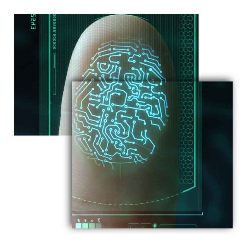 El unicornio latinoamericano está en vías de consolidar el mercado.