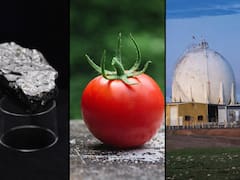 Litigio contra México por litio, frío de Florida calienta agronegocios mexicanos, y crisis por gas en Altamira