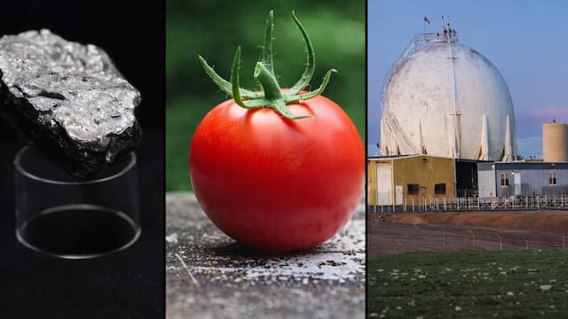 Litigio contra México por litio, frío de Florida calienta agronegocios mexicanos, y crisis por gas en Altamira