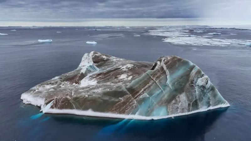 El descubrimiento del siglo: encuentran en la Antártida animales acuáticos jamás vistos. Foto: Commonwealth of Australia/AAD