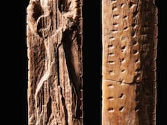 El descubrimiento del siglo: hallan un sistema de signos con más de 40.000 años que reescribe la historia de la comunicación