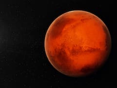 Hallazgo del siglo | Por primera vez en la historia demuestran que un tipo de planta podría sobrevivir en la superficie de Marte