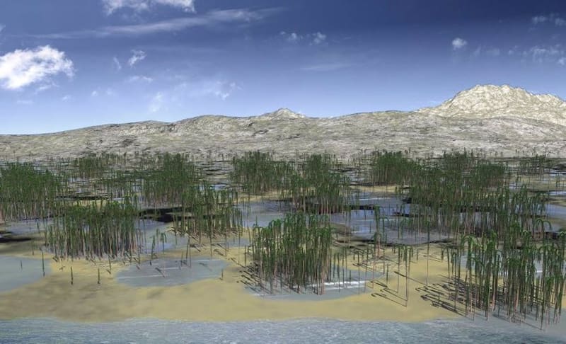 El desequilibrio generado en el flujo acuífero a partir de la reforestación en China.