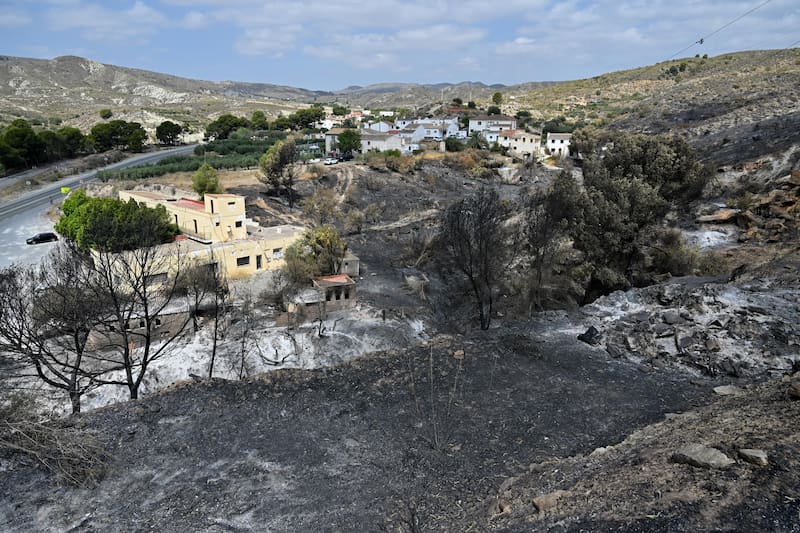 El dispositivo del Plan Infoca ha dado por estabilizado a las 11:00 horas de este domingo el incendio forestal declarado en Los Gallardos (Almería), que ha calcinado 7000 hectáreas.