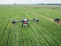 Ley de Tierras: la Justicia ordenó preservar los datos de las tierras rurales bonaerenses en medio de la tensión