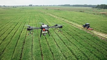 Ley de Tierras: la Justicia ordenó preservar los datos de las tierras rurales bonaerenses en medio de la tensión