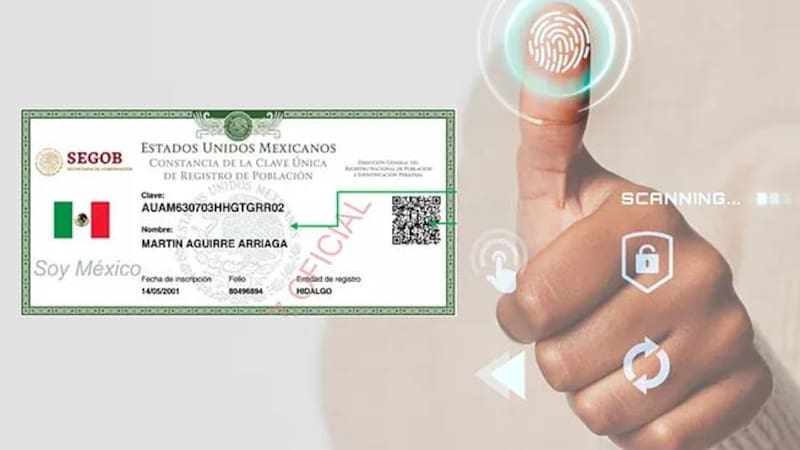 El documento ya comenzó a generar alta demanda en distintos estados del país. Sin embargo, existe una forma sencilla de tramitarla gratis y sin pasar horas formado en un módulo.