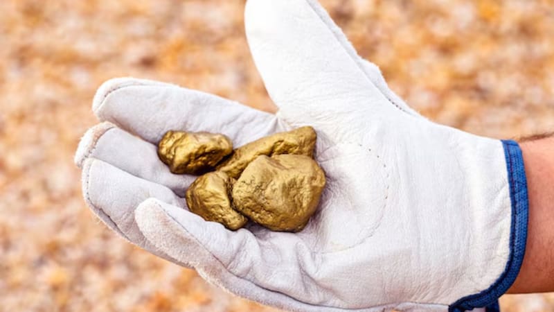 El electrodoméstico que contiene oro