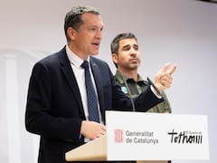 El embutido que pudo traer de vuelta la peste porcina a España: la hipótesis que inquieta al sector porcino