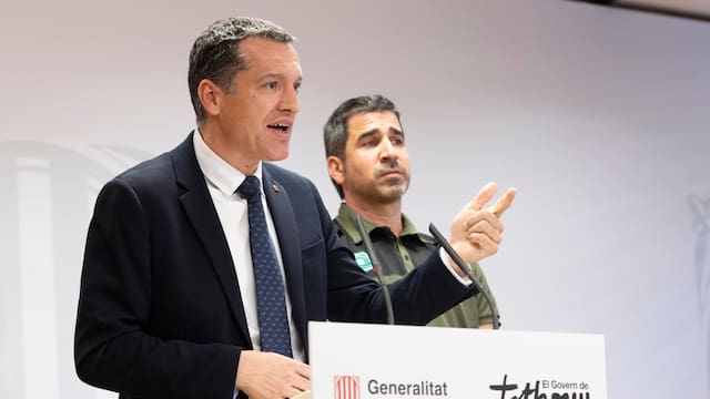 El embutido que pudo traer de vuelta la peste porcina a España: la hipótesis que inquieta al sector porcino