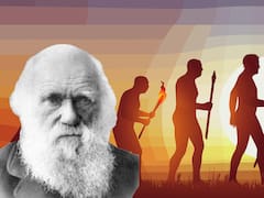 Se cae la teoría de la evolución de Charles Darwin: la especie que pone en duda todo lo que se sabía de la historia de la biología hasta ahora