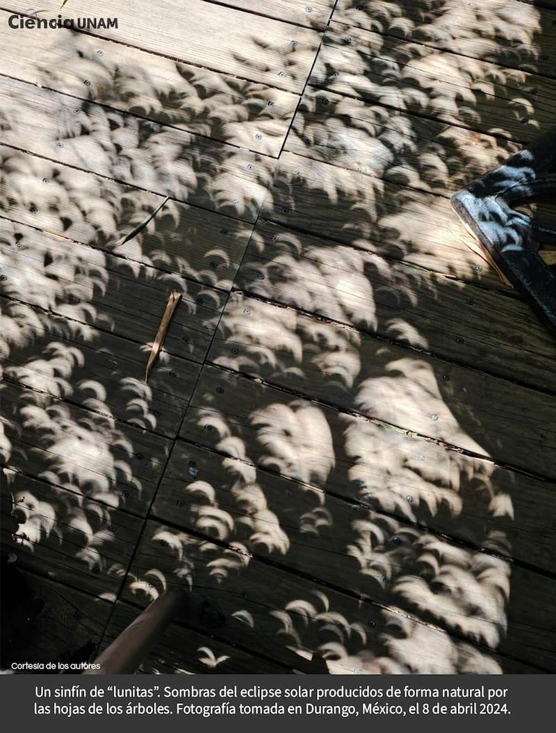 Lo que pasa en la Tierra cuando hay un eclipse solar.